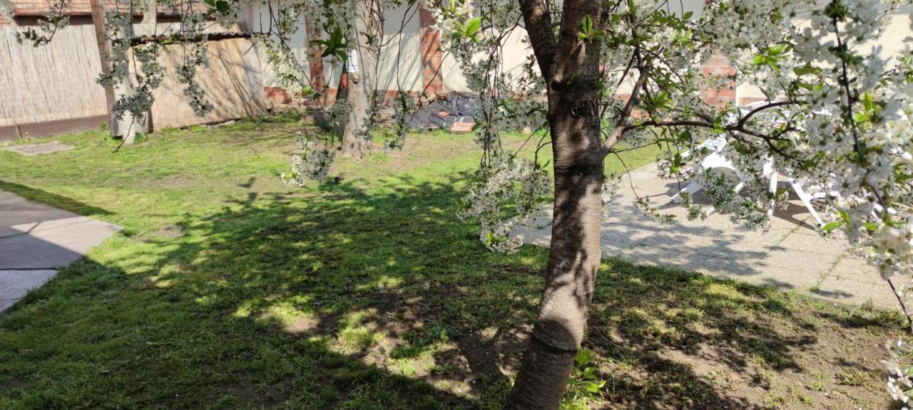 Orsi Apartman / Vendeghaz Kecskemét Eksteriør bilde